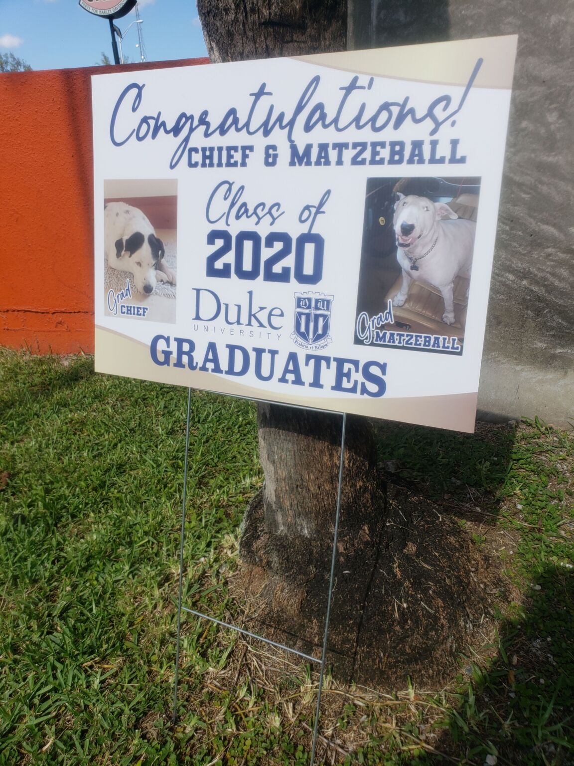 Yard Signs Miami Rapid Signs of South Florida Signs and Printing Miami